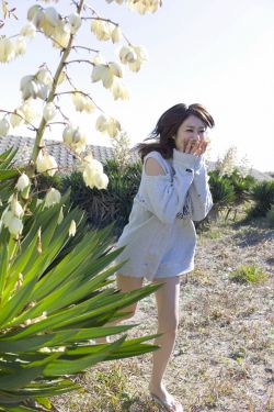 欢迎来到实力主义第一季